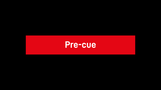 500 - Pre Cue