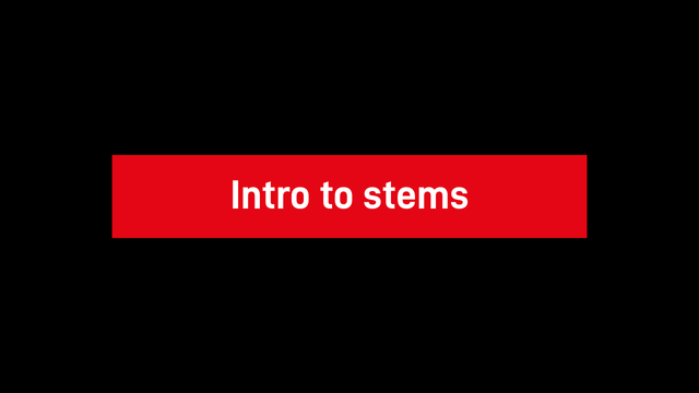 300 MK2 - Intro to Stems
